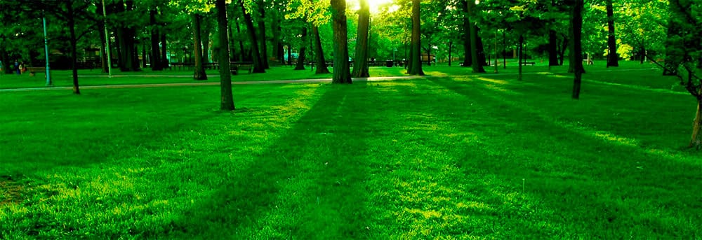 park
